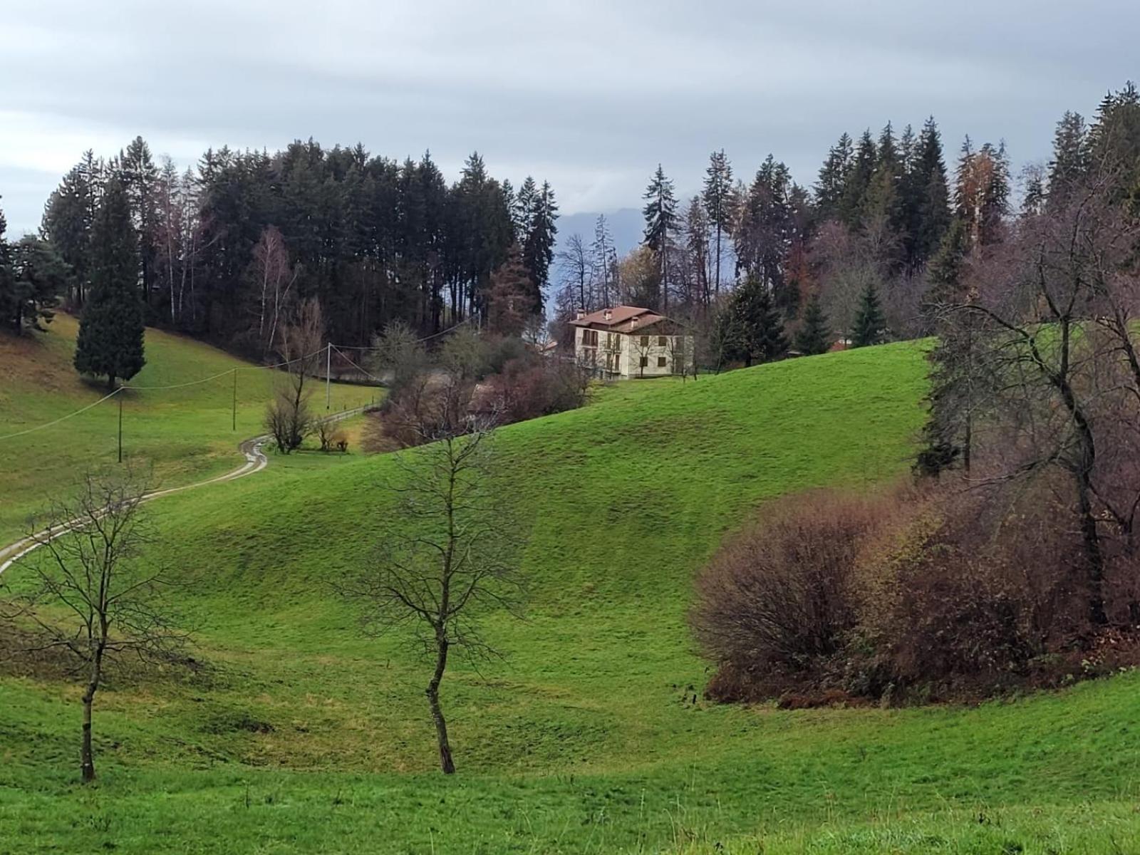 Green House Mountain Lake Iseo Hospitality Leilighet Bossico Eksteriør bilde